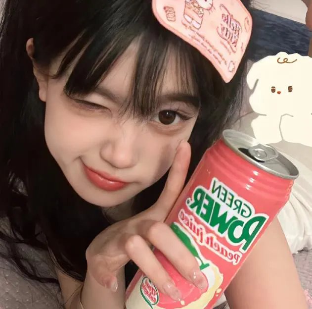 巡回检察组