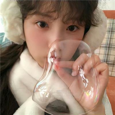 鼩鼱的巢穴